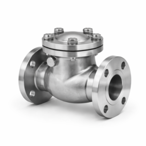 check valves
